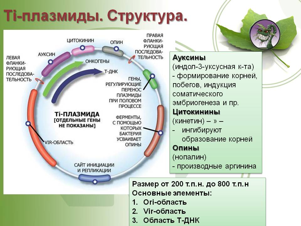 Кракен даркнет рекламы