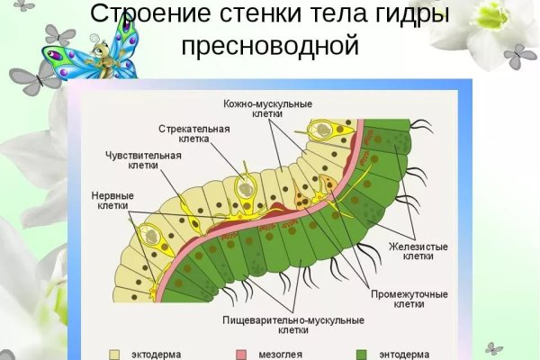 Ссылка на кракен не работает