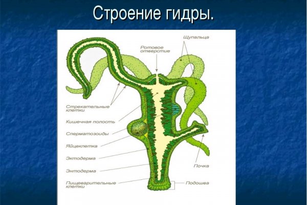 Кракен безопасный вход